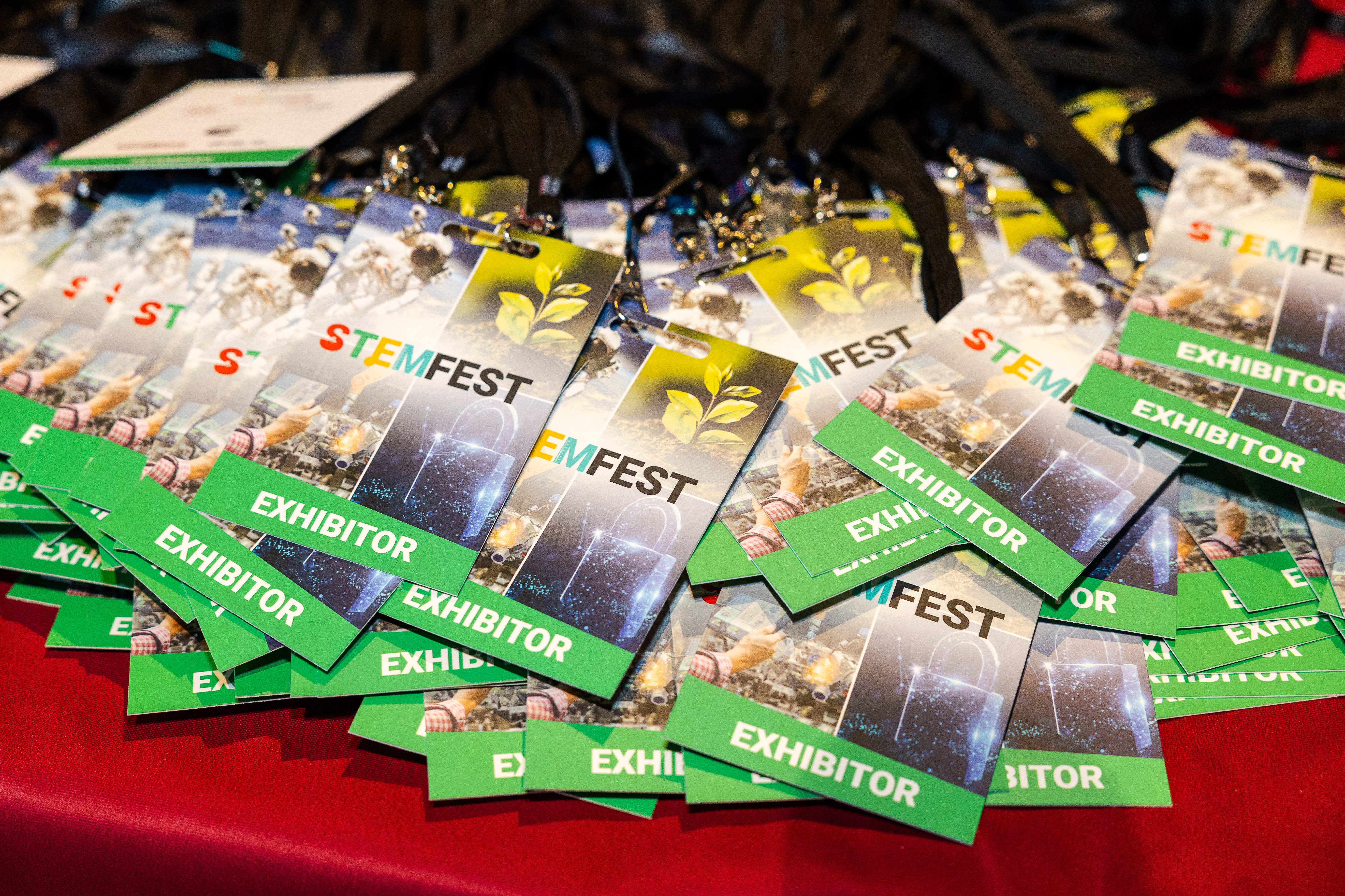 stemfest25_yorkshirehumber-10.jpg stemfest25_yorkshirehumber-10.jpg