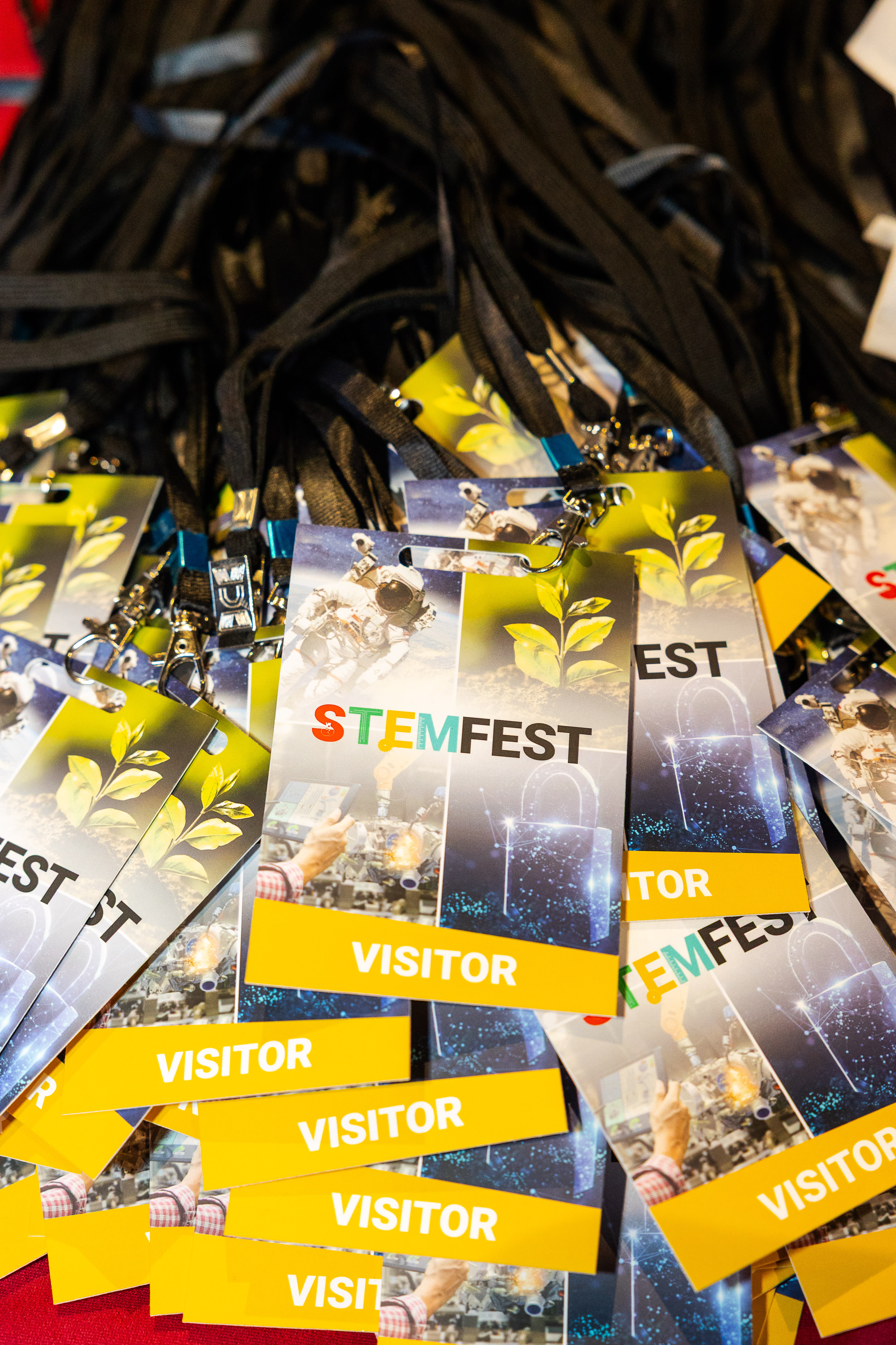 stemfest25_yorkshirehumber-11.jpg stemfest25_yorkshirehumber-11.jpg